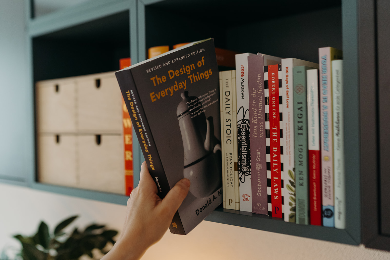 Bücherregal